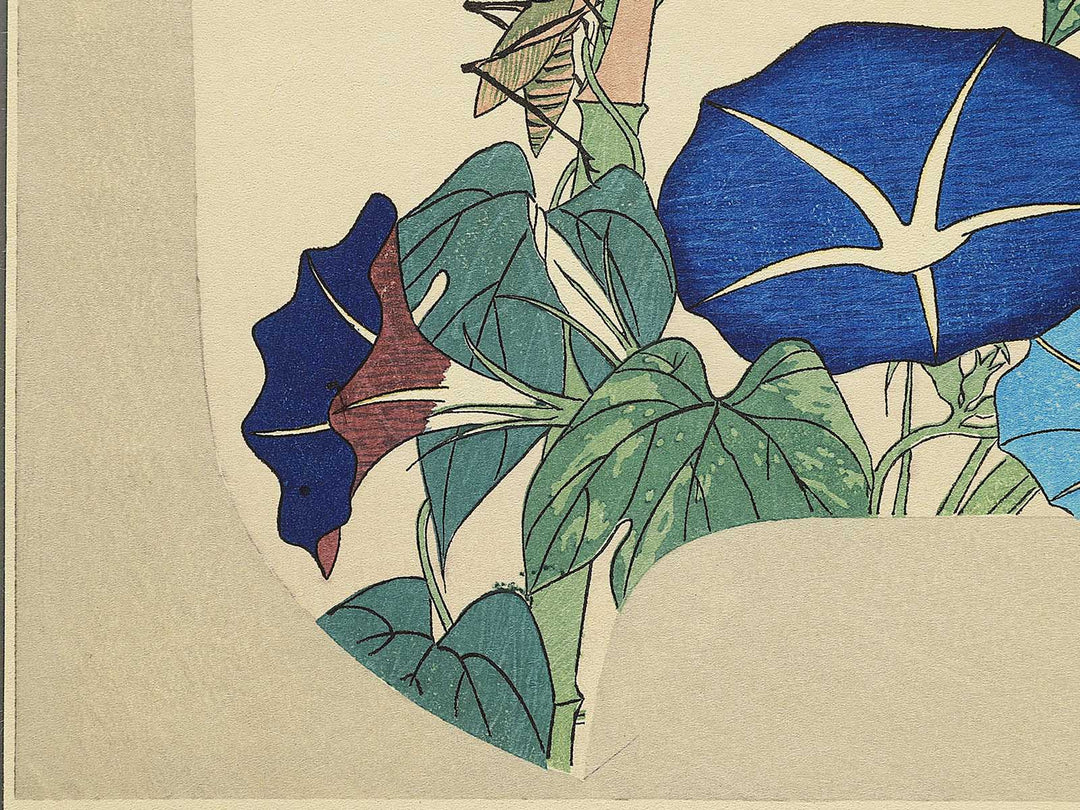Asagao from the series Shiki no hanazukushi by Utagawa Hiroshige, (Medium print size) / BJ330-547