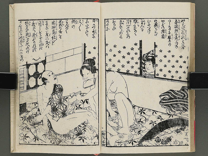 Insho kaiko ki Part 1 by Utagawa Yoshikazu / BJ345-765