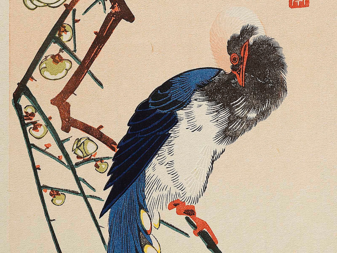 White plum blossoms & long tailed cock by Utagawa Hiroshige, (Medium print size) / BJ328-090