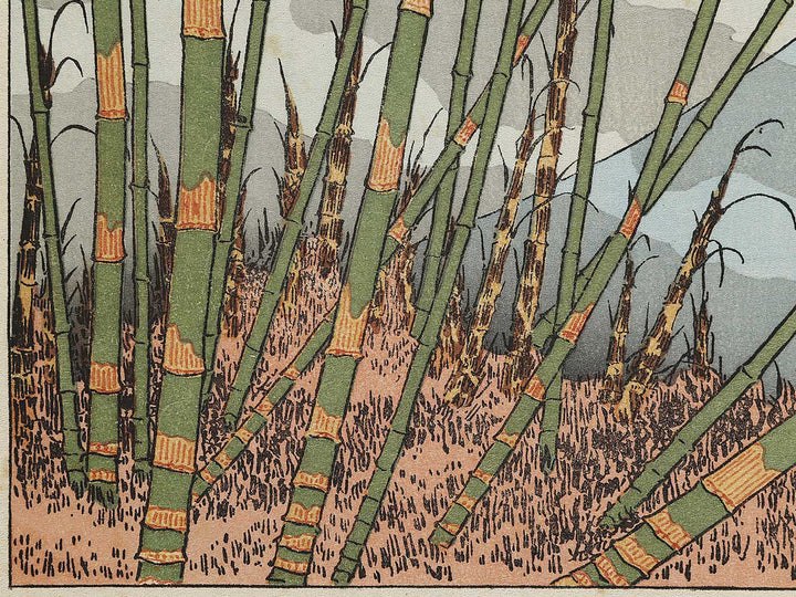 Chikurin no fuji from the series One Hundred Views of Mount Fuji by Katsushika Hokusai, (Medium print size) / BJ327-908