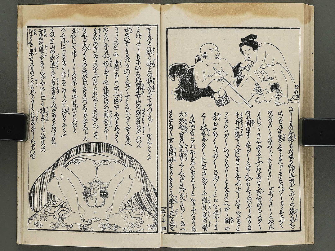 Insho kaiko ki Volume 5 by Utagawa Yoshikazu / BJ345-744