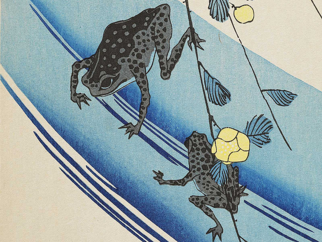 Japanese mountain rose and frog by Utagawa Hiroshige, (Medium print size) / BJ328-069
