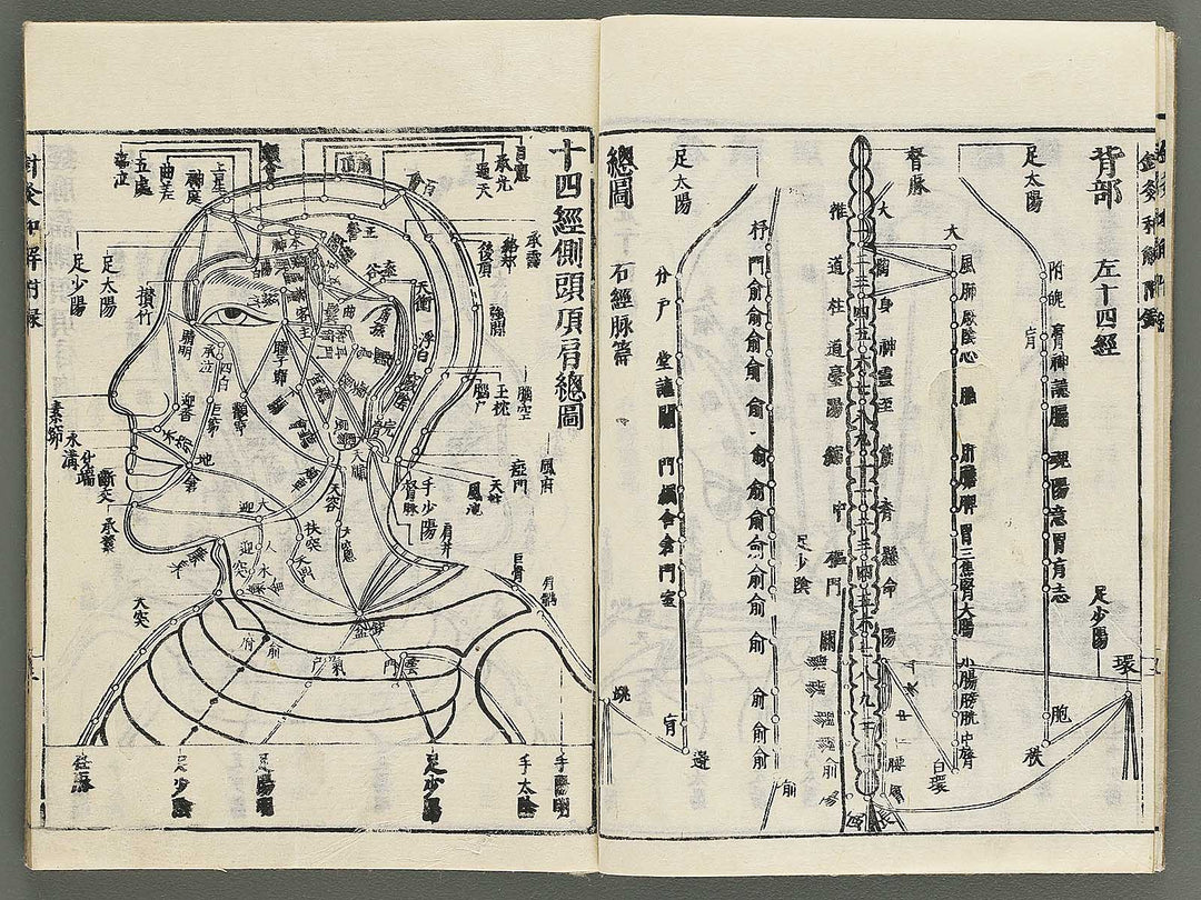 Shikyu wage (furoku) by Okamoto Ippo / BJ347-459