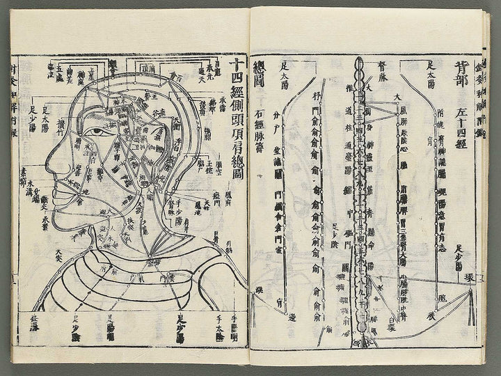 Shikyu wage (furoku) by Okamoto Ippo / BJ347-459