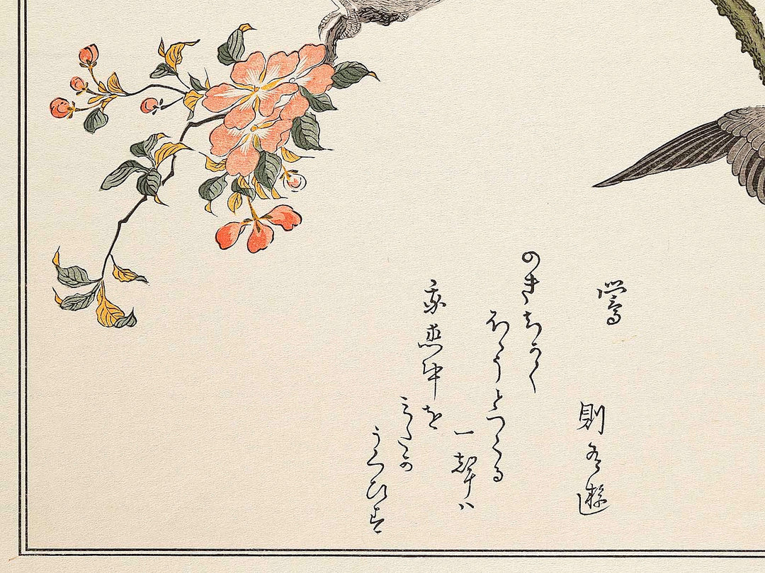 Mountain sparrow and Japanese bush warbler from the series Momochidori kyokaawase by Kitagawa Utamaro, (Large print size) / BJ328-062
