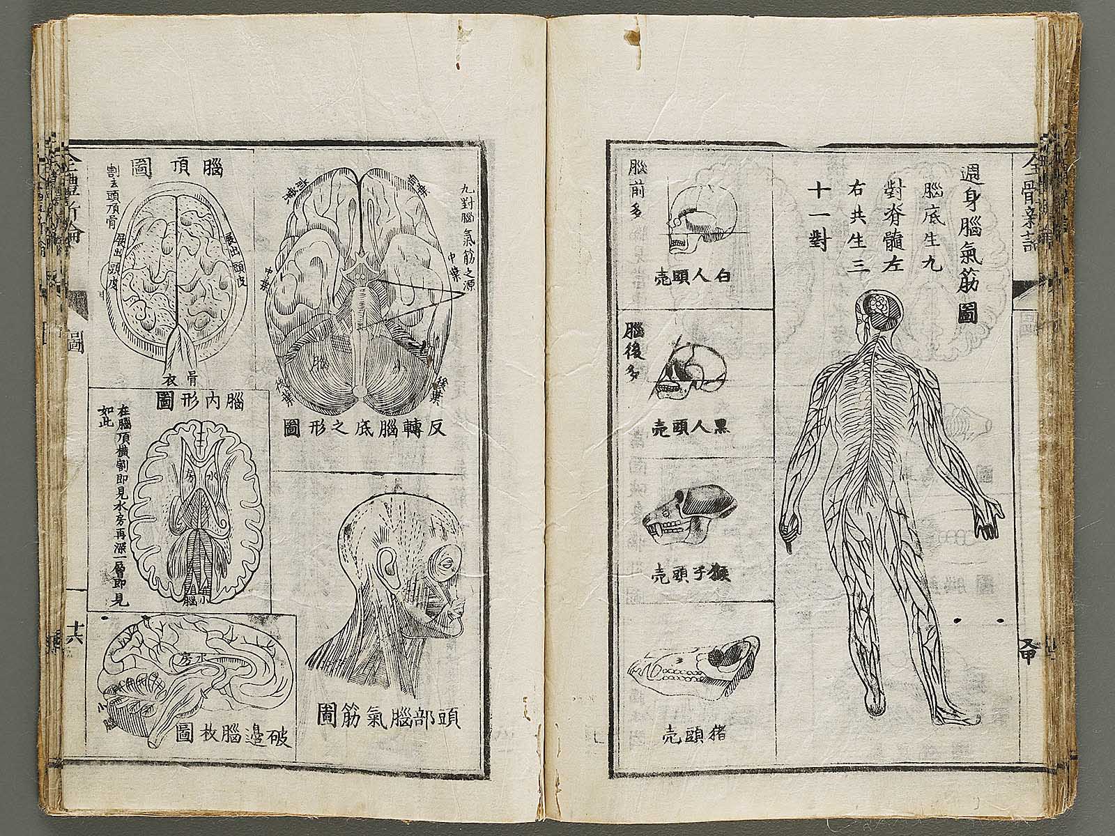 つんつくつん triboxストア / ShengShou Zettaminx Stickerless