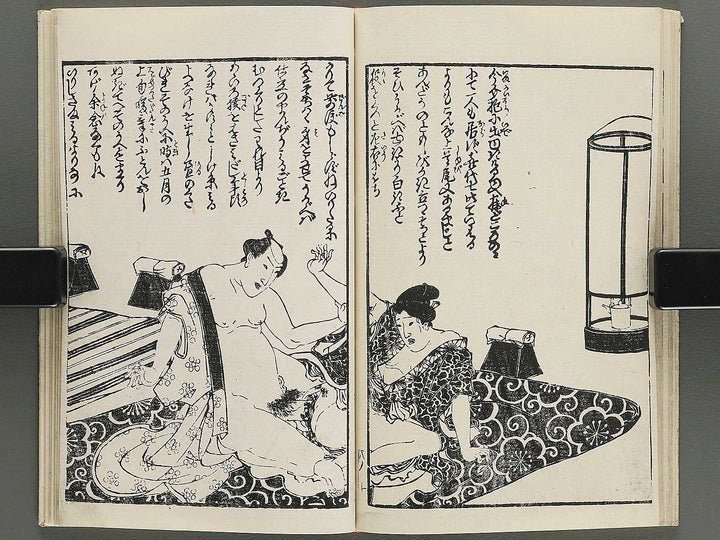 Insho kaiko ki Volume 8 by Utagawa Yoshikazu / BJ345-730
