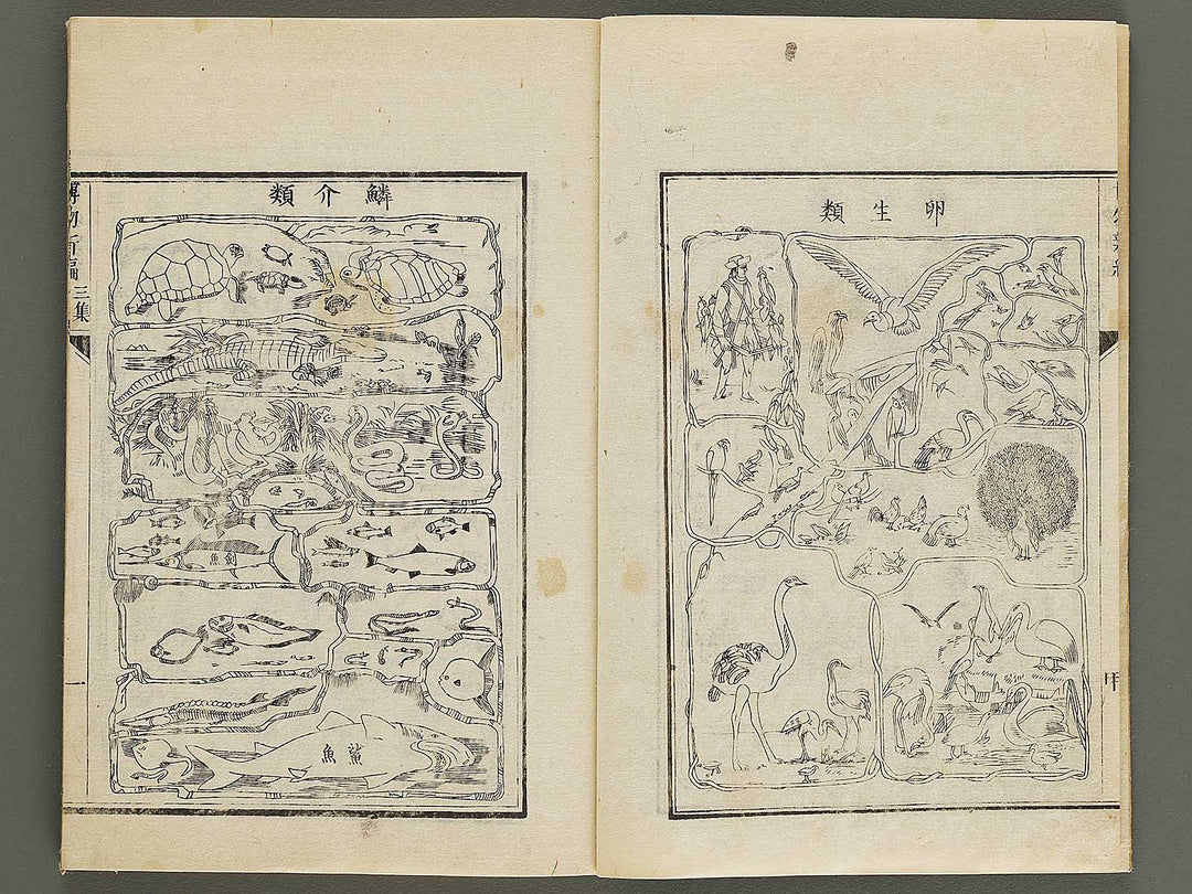Hakubutsu Shinpen Volume 3 / BJ336-476