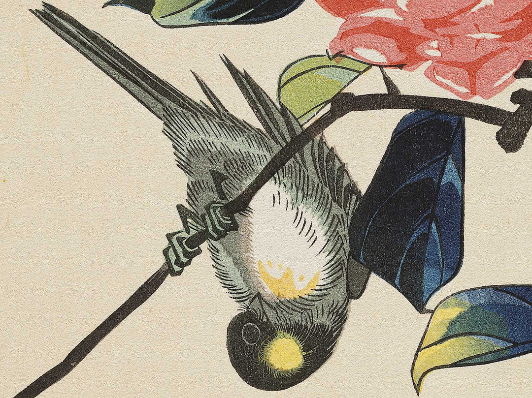 Bullfinch in Tsubaki by Utagawa Hiroshige, (Medium print size) / BJ328-083