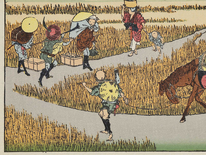 Hosaku no fuji from the series One Hundred Views of Mount Fuji by Katsushika Hokusai, (Medium print size) / BJ321-685