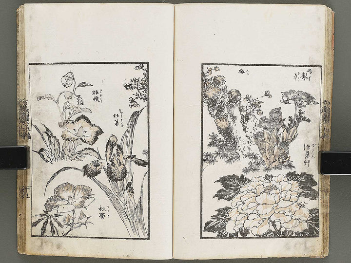 Banshoku zuko Volume 5 by Katsushika Hokusai / BJ326-116