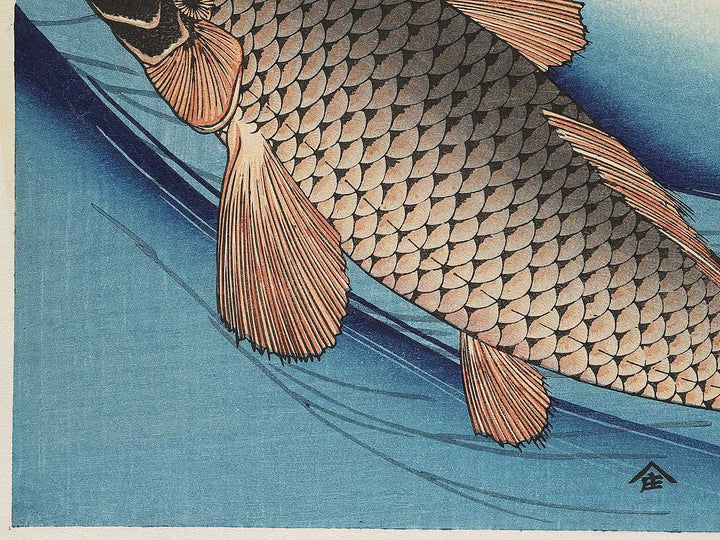 Japanese Carp from the series the series FISH by Utagawa Hiroshige, (Large print size) / BJ295-113