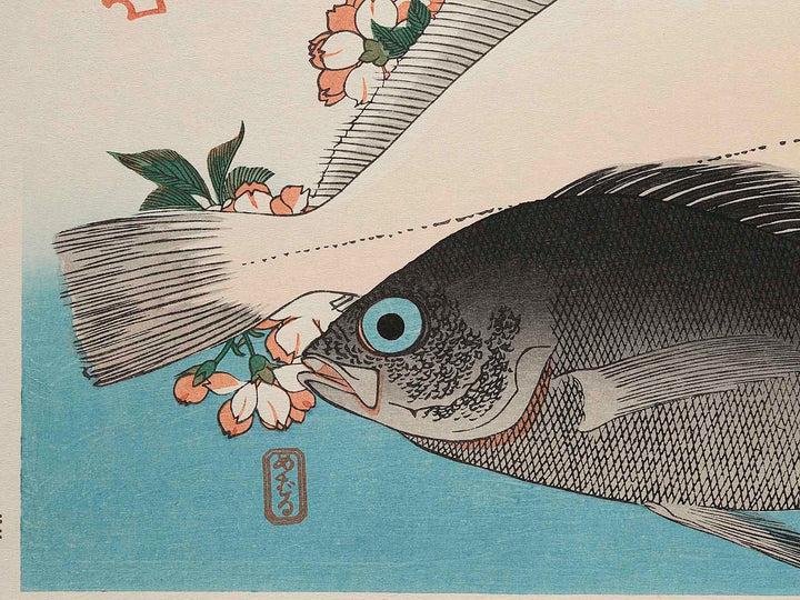 Halibut, Rockfish & Cherry Blossoms from the series the series FISH by Utagawa Hiroshige, (Large print size) / BJ237-664