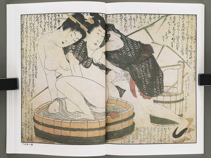 Ezoshi Tamakazura Volume 12 by Katsushika Hokusai / BJ346-486