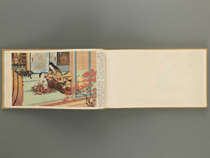 Kokushi bidan Kyokun gashu / BJ352-709