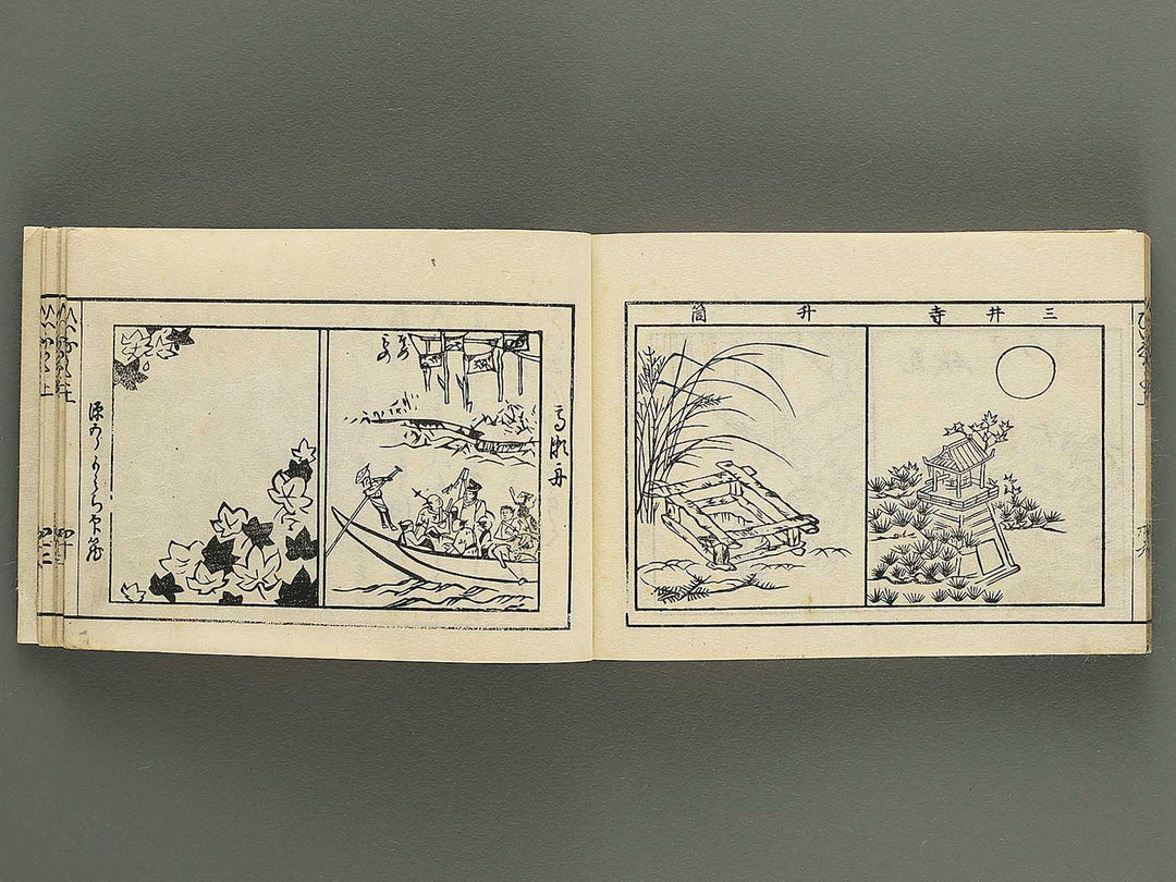 Iitogusa (Jo) / BJ343-224