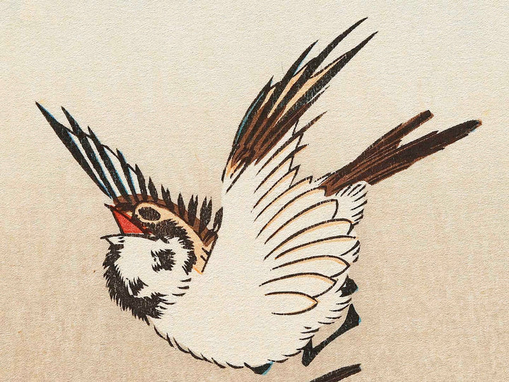 A camellia and sparrow during the snow by Utagawa Hiroshige, (Medium print size) / BJ328-118