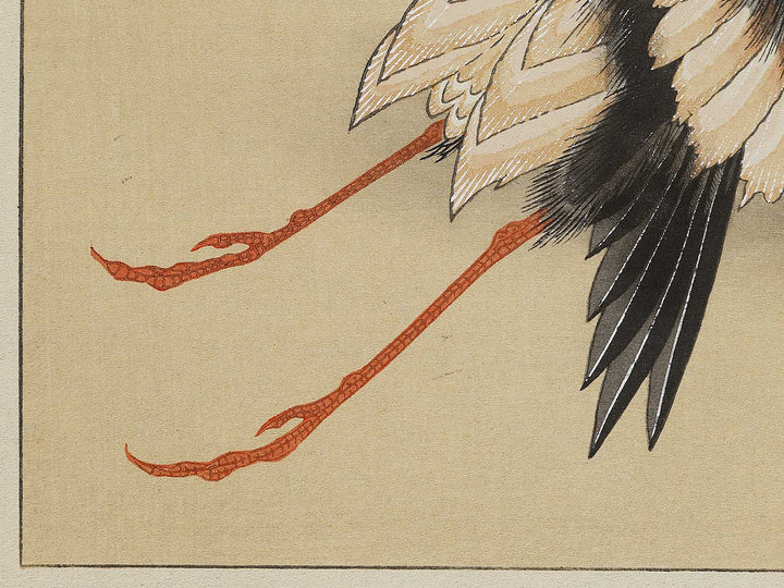 Konotori by Katsushika Hokusai / BJ321-650