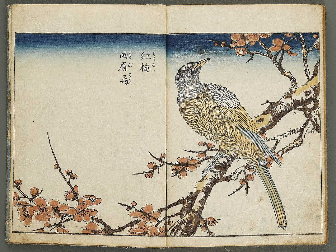 Kacho shashin zui by Kitao Shigemasa / BJ339-115