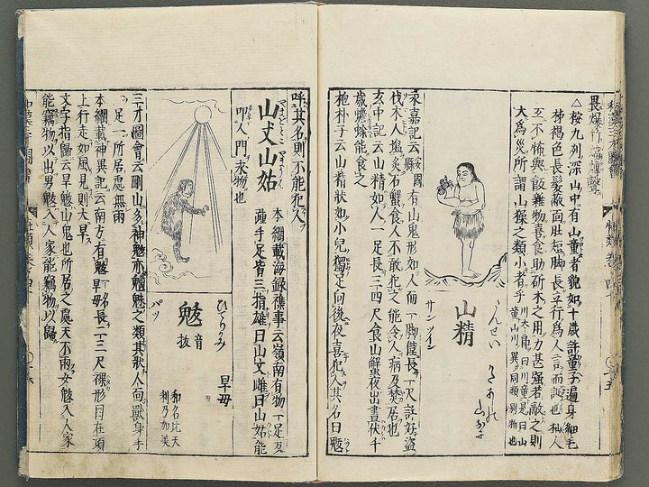 Wakan sansai zue Part 39, Book 40 / BJ349-223