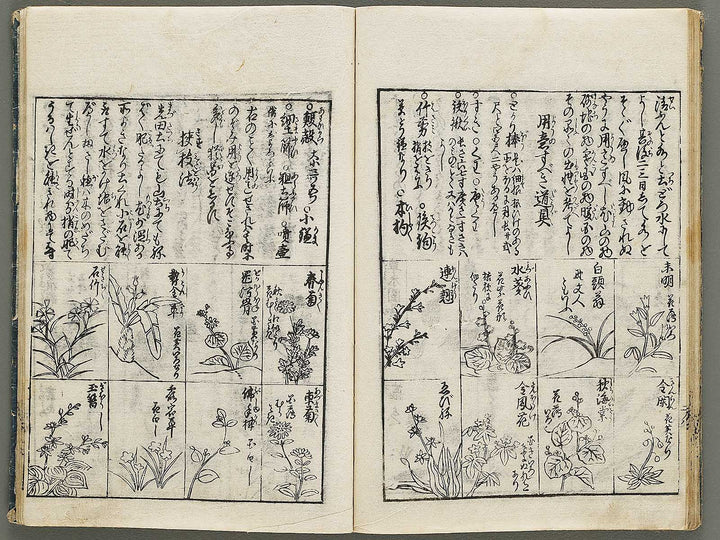 Kado zensho Volume 1 / BJ335-328