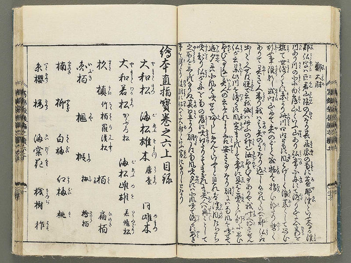 Ehon nezashi takara Volume 5 by Tachibana Morikuni / BJ353-577