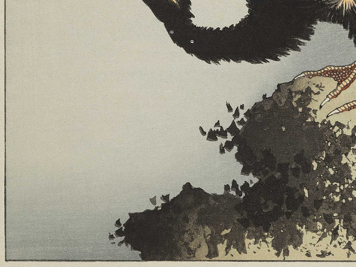 A cormorant stands resolute at the head of a rock by the sea by Katsushika Hokusai, (Medium print size) / BJ325-017