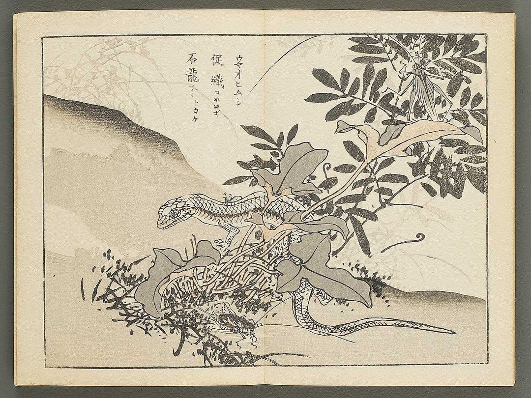 Bairei gafu (Churui no bu) by Kono Bairei / BJ351-120