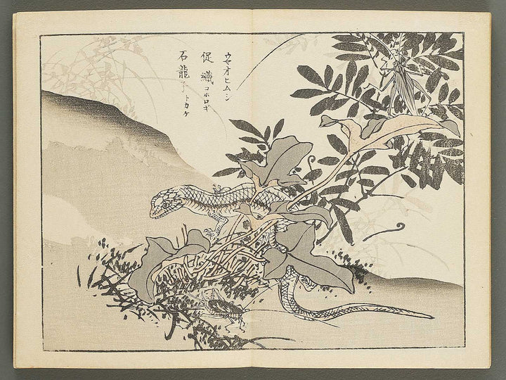 Bairei gafu (Churui no bu) by Kono Bairei / BJ351-120