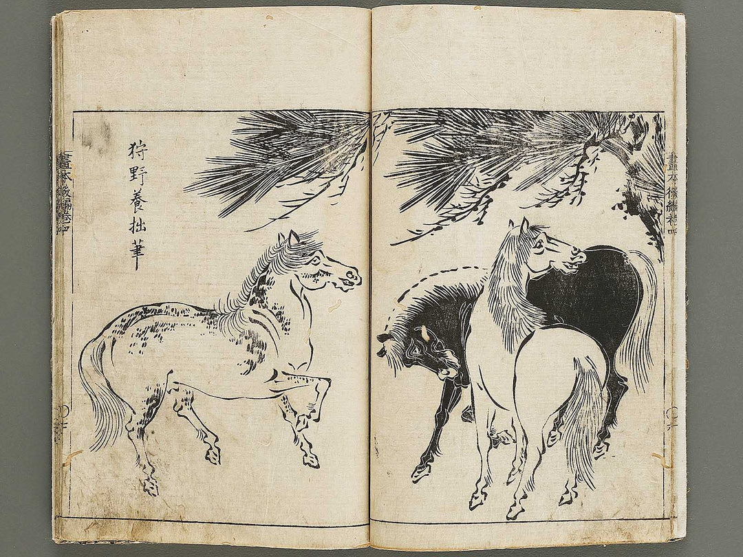 Wakan meigaen Volume 4 by Ooka Shunboku / BJ330-694