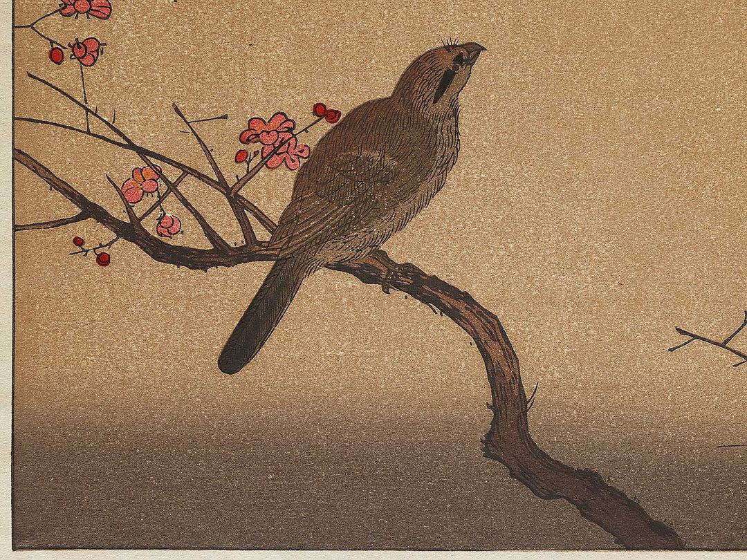 Hawk and Shrike from the series Momotidori kyoka awase by Kitagawa Utamaro, (Large print size) / BJ306-936