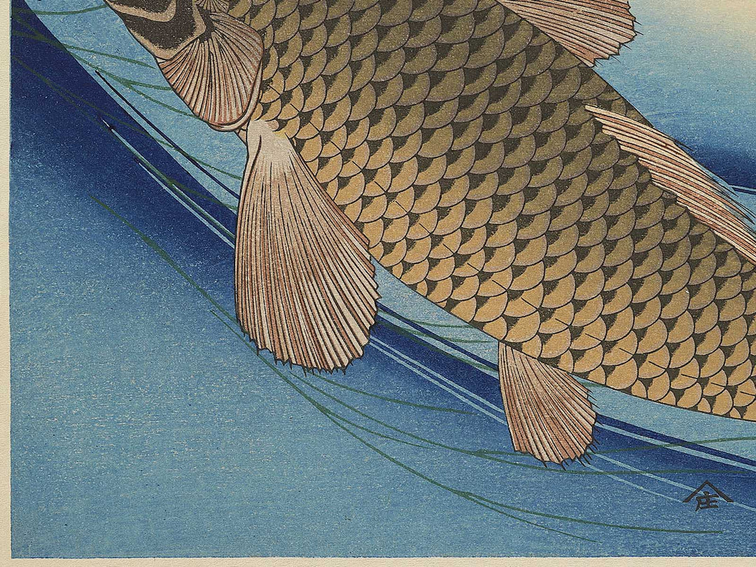 Japanese Carp from the series the series fish by Utagawa Hiroshige, (Large print size) / BJ350-224