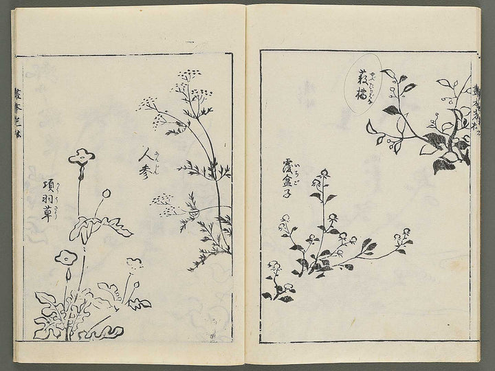 Korin michishirube by Nonomura Chube / BJ351-141