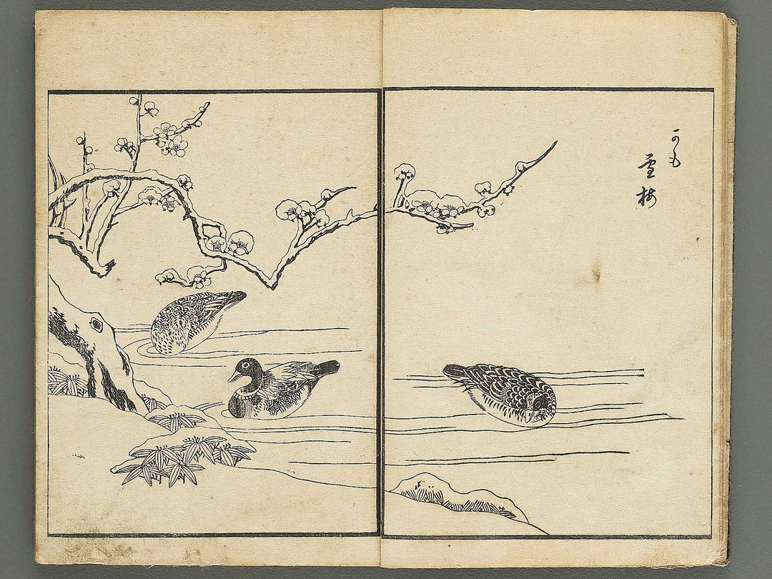 Kacho gafu by Asai Osui / BJ345-842