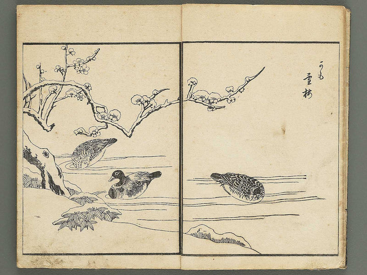 Kacho gafu by Asai Osui / BJ345-842