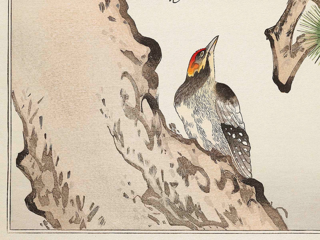 Japanese Grosbeak and Woodpecker from the series Momochidori kyokaawase by Kitagawa Utamaro, (Large print size) / BJ328-027