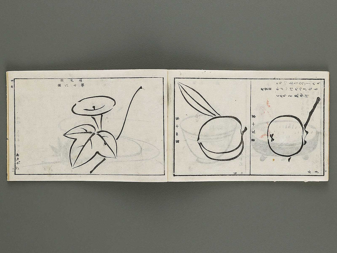 Shogaku mohitsu zugacho Volume 4 / BJ324-541