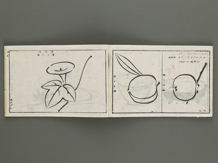Shogaku mohitsu zugacho Volume 4 / BJ324-541
