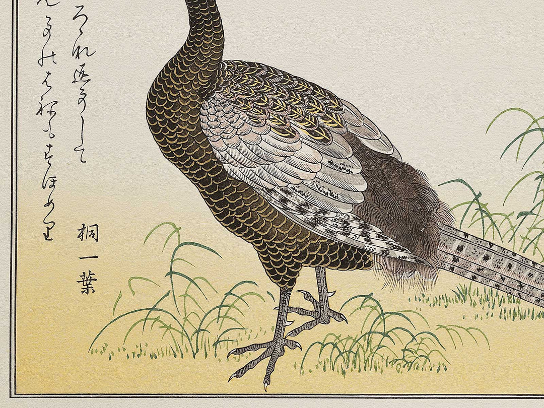 Swallow and Pheasant from the series Momochidori kyoka awase by Kitagawa Utamaro, (Large print size) / BJ327-964