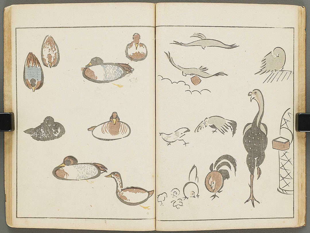 Choju ryakugashiki by Kuwagata Keisai / BJ325-808