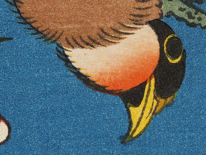 Weeping cherry blossoms against a dark indigo background, capturing the moment a Japanese bullfinch comes to peck at the blossoms. by Katsushika Hokusai, (Medium print size) / BJ323-708