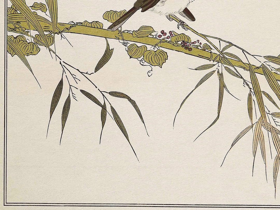 Long tailed Tit and White-eyes from the series Momochidori kyokaawase by Kitagawa Utamaro, (Large print size) / BJ328-006