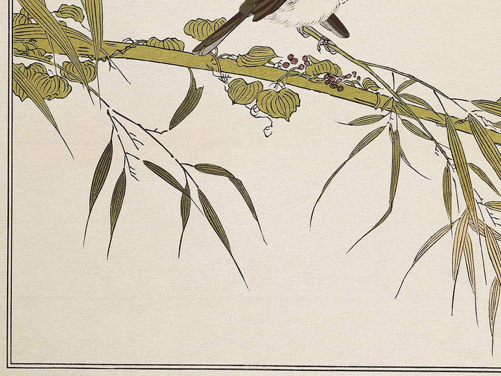 Long tailed Tit and White-eyes from the series Momochidori kyokaawase by Kitagawa Utamaro, (Large print size) / BJ328-006