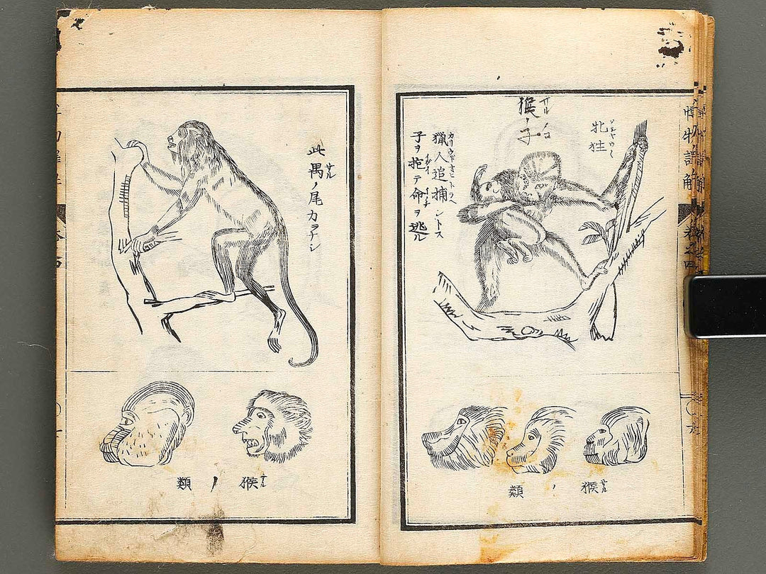 Hakubutsu shinpen yakkai Volume 4 / BJ326-879