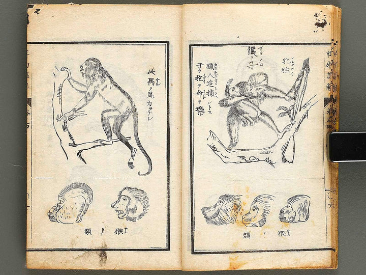 Hakubutsu shinpen yakkai Volume 4 / BJ326-879