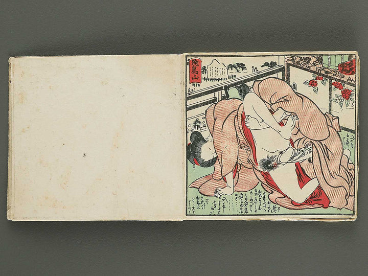 Shunga / BJ345-072