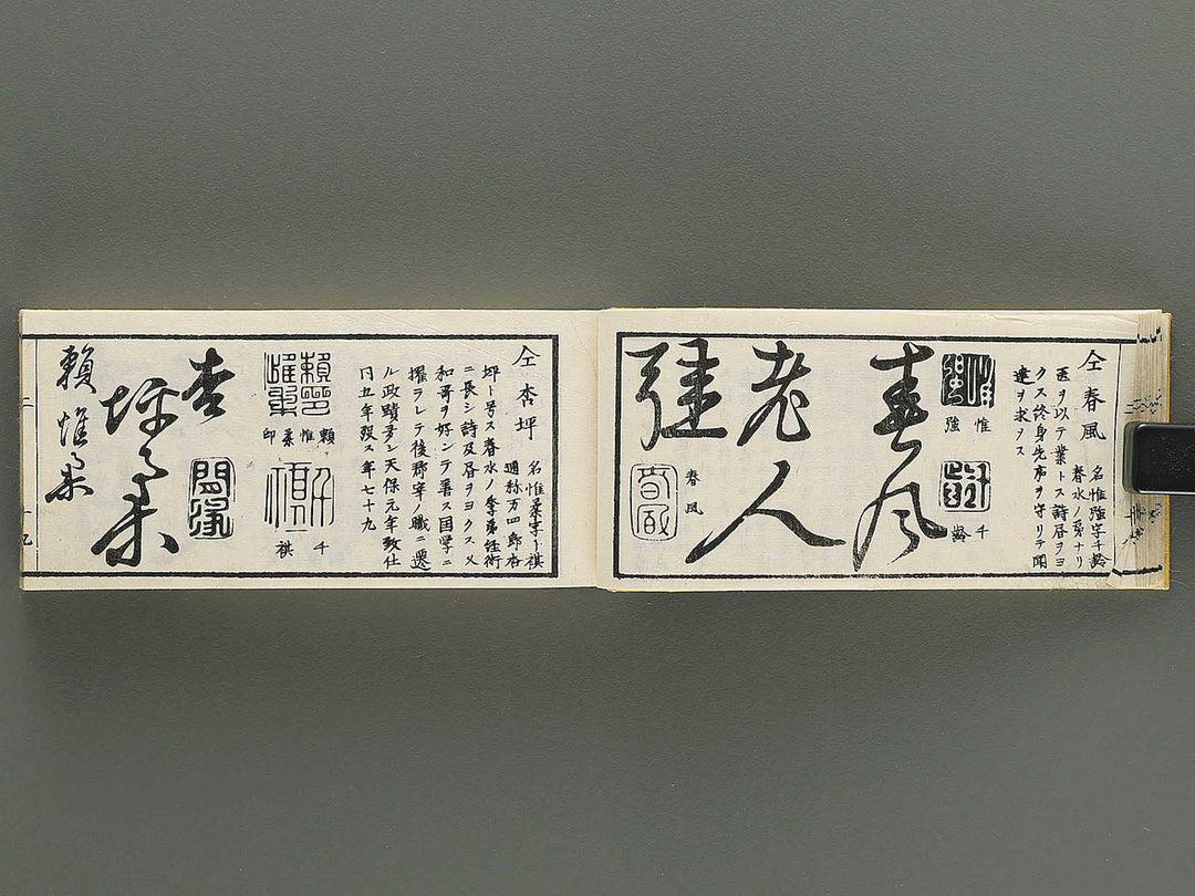 Shoga hikkei meika zensho Volume 2 / BJ348-607
