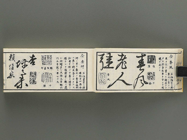Shoga hikkei meika zensho Volume 2 / BJ348-607