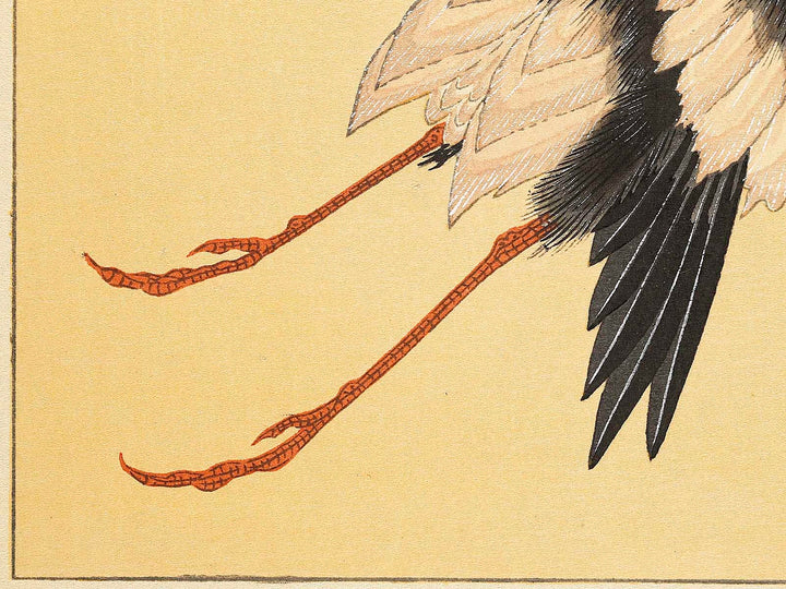 Konotori by Katsushika Hokusai, (Medium print size) / BJ319-634