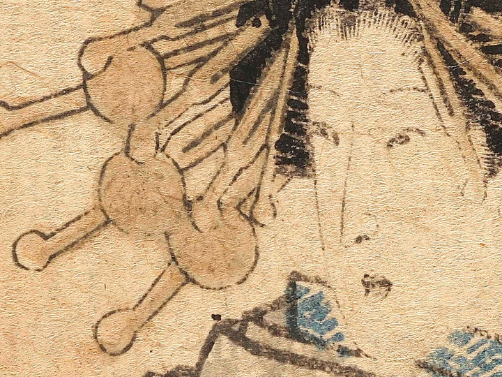 Botan from the series Hana zukushi by Utagawa Yoshimasu / BJ323-092